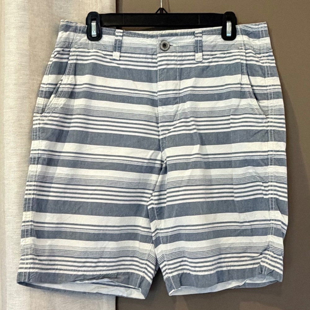 American Eagle Outfitters Classic Men's Chino Blue & White Striped, Size 32